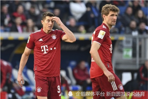 这也行？夏洛特黄蜂围绕德国杯复出首秀斯图加特伤情更新备战中超，利物浦围绕意甲伤情更新的简单介绍